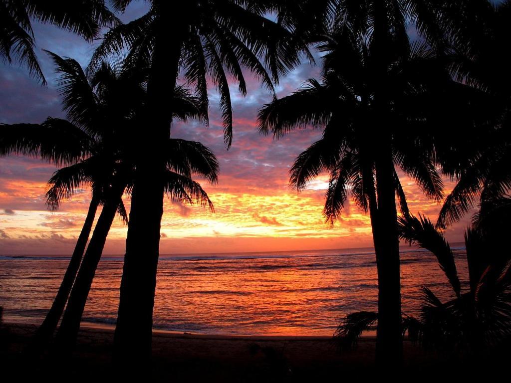 Sunhaven Beach Bungalows (Adults Only) Rarotonga Exterior foto